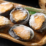 Frozen Fresh Abalone with Shell (8pc) - 1kg