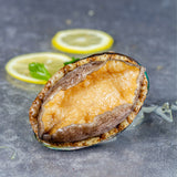 Frozen Boiled Abalone with Shell  (8 ~ 10pc) - 1kg