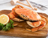 Live Dungeness Crab 1.5 ~ 2 lb