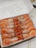 Frozen Botan Ebi (Botan Shrimp) 25-33 - 2.2lb