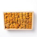 우니(성게) - 일본 - A등급 - 120g/tr - 사전 주문 필수