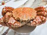 Frozen Boiled Kegani (Japanese Horsehair Crab ) - 1 lb