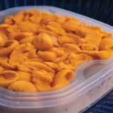 Fresh Maine Ensui Uni (Saltwater Style Sea Urchin Roe)
