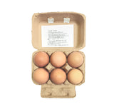 Fresh Jidori Egg - 6 pc (from cage free hens)