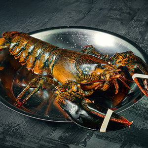 Live Hard Shell Lobster (Canada or Maine) - 1.0 - 1.25 lb