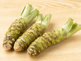 Fresh Japanese Wasabi Root 0.1 lb ~ 0.3lb